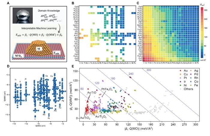 中国科大利用人工智能在催化基础研究中取得重大突破