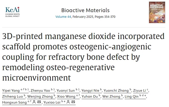 3D打印二氧化锰支架通过重塑骨再生微环境促进难治性骨缺损的成骨-血管生成耦合