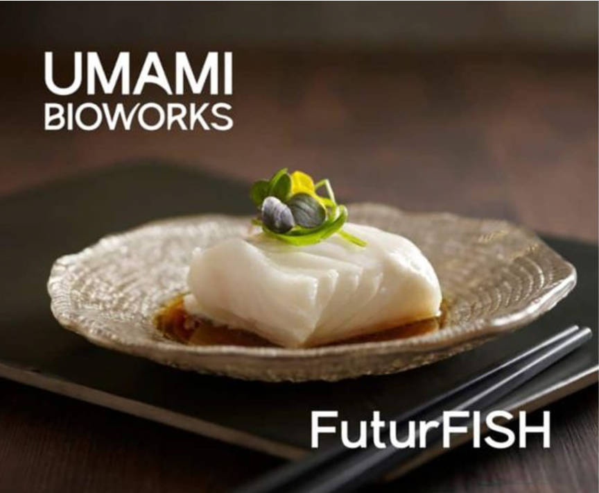 3D打印鱼肉即将在新加坡及其他地区商业化