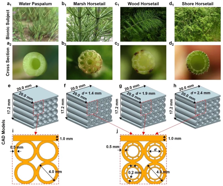 南航顾冬冬教授团队利用激光粉末床熔融（LPBF）制备出仿生夹层结构