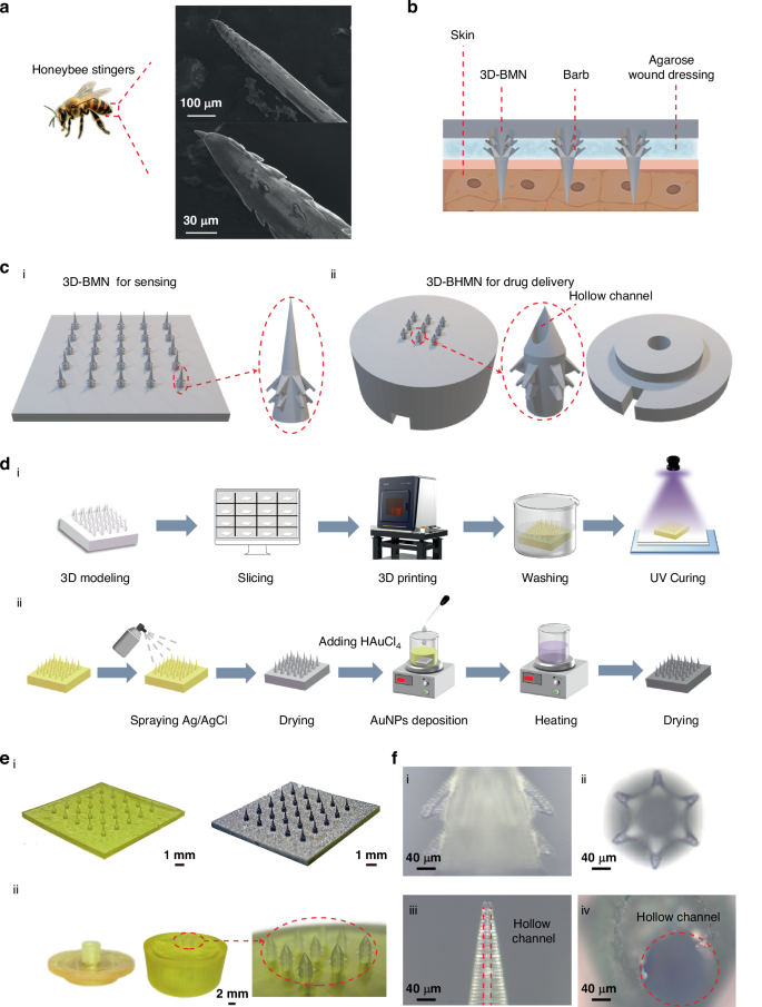 电子科技大学Nature子刊： 3D打印仿生微针电极贴片，可智能输送药物敷料治疗伤口