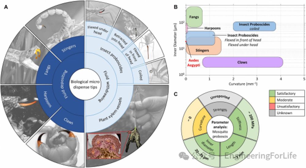 观察“蚊子”，竟可用于3D打印，启发出一篇Science Advances