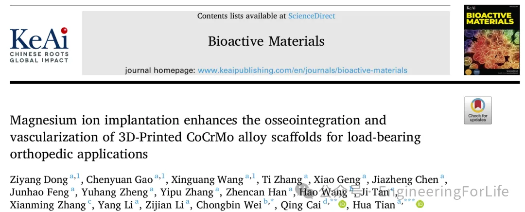 镁离子功能化3D打印CoCrMo合金支架实现骨-血管协同再生