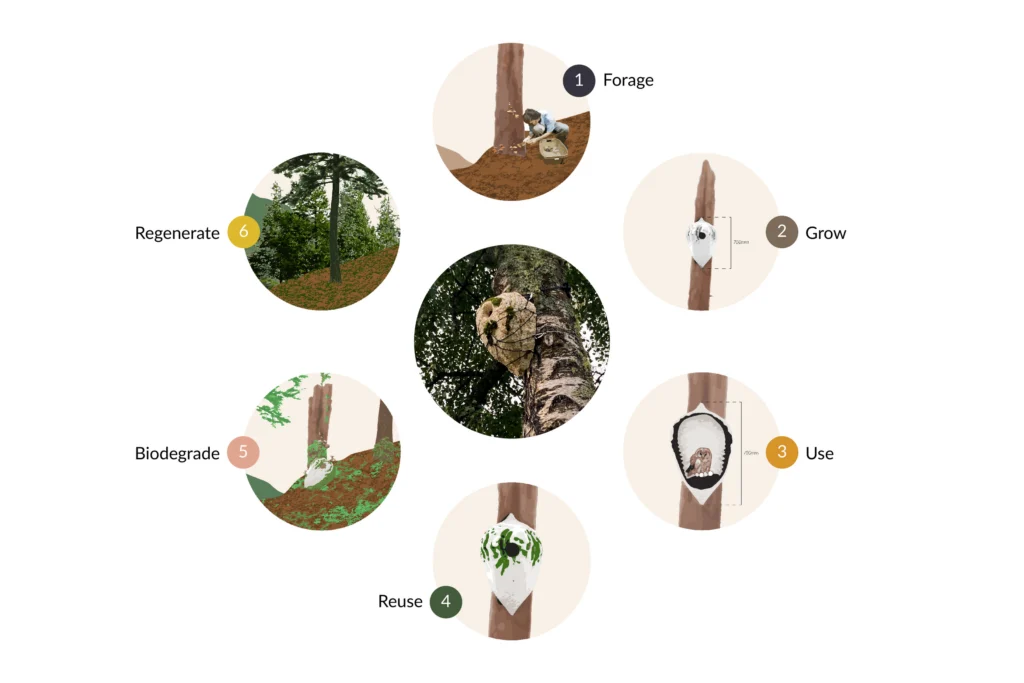 意大利菌丝体空心制品全生命周期设计。图片由《保护科学实践》中的深度设计实验室提供 意大利菌丝体空心制品全生命周期设计。图片由《保护科学实践》中的深度设计实验室提供