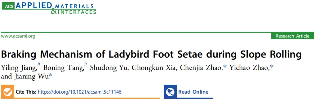 受瓢虫启发，高精密3D打印揭示剥离制动的力学机制！