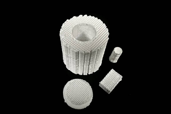 来自BioNIUM 3D生物打印设施的3D打印骨支架