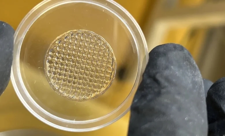 格拉茨技术大学与VIT合作开发3D打印活细胞皮肤仿制品