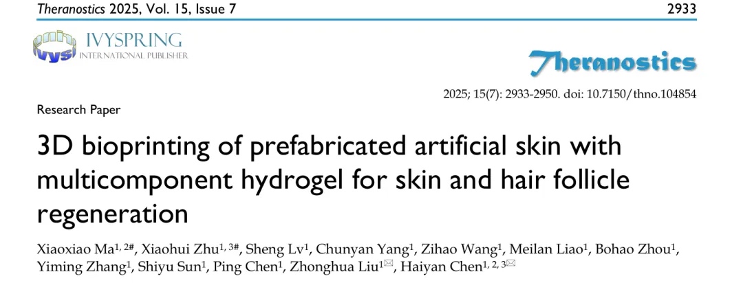 3D生物打印人工皮肤！湖南师范大学刘中华、陈海燕：开启皮肤与毛囊再生的临床新征程
