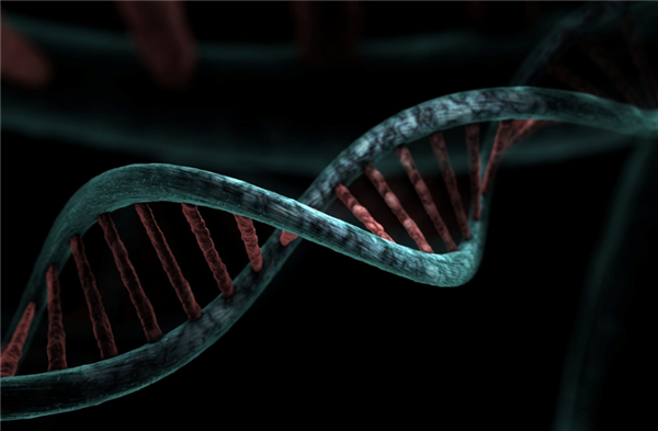 北大团队研发！全球首个基因挖掘大模型问世