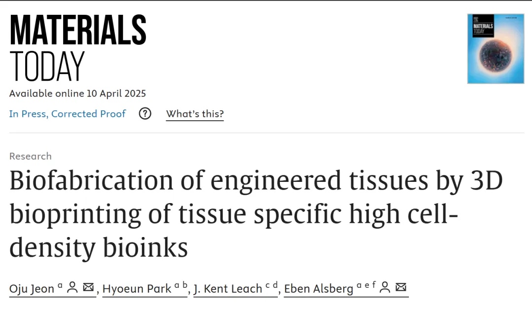 3D生物打印组织特异性高细胞密度生物墨水，实现多相组织生物制造