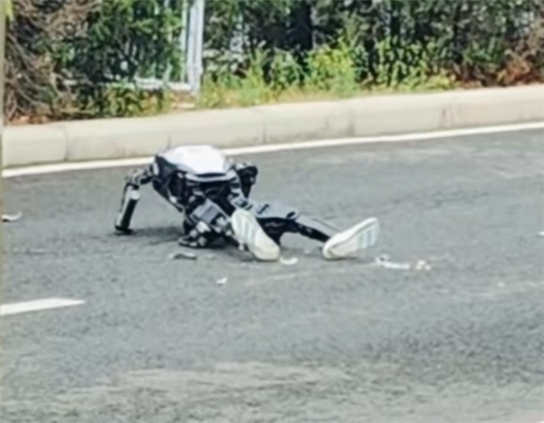 北京人形机器人比赛洋相百出 股民瑟瑟发抖：吹了半天是玩具