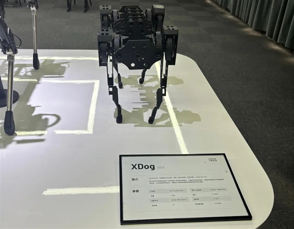 “狗啃的” 楼梯 网上酷炫的宇树 现实里是这个样的