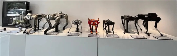 “狗啃的” 楼梯 网上酷炫的宇树 现实里是这个样的