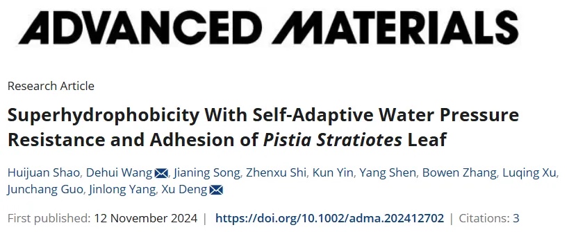 摩方精密3D打印模具翻模制备，电子科技大学仿生自适应超疏水表面的设计策略