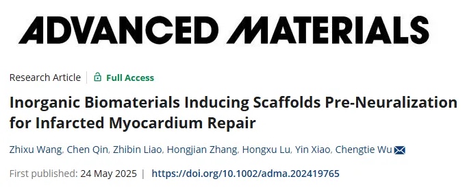 3D打印硅酸锶诱导神经干细胞预神经化支架修复梗死心肌