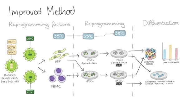 20万一台的“人脑计算机” 可能是人类战胜AI的唯一方式