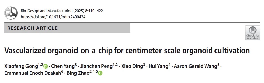 3D打印血管化类器官芯片，成功解决类器官“长不大”的难题！