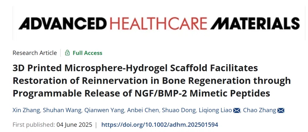3D打印微球 - 水凝胶支架模拟肽促进骨再生中的神经再支配修复