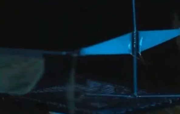 新突破！我国成功研发蚊子大小仿生机器人