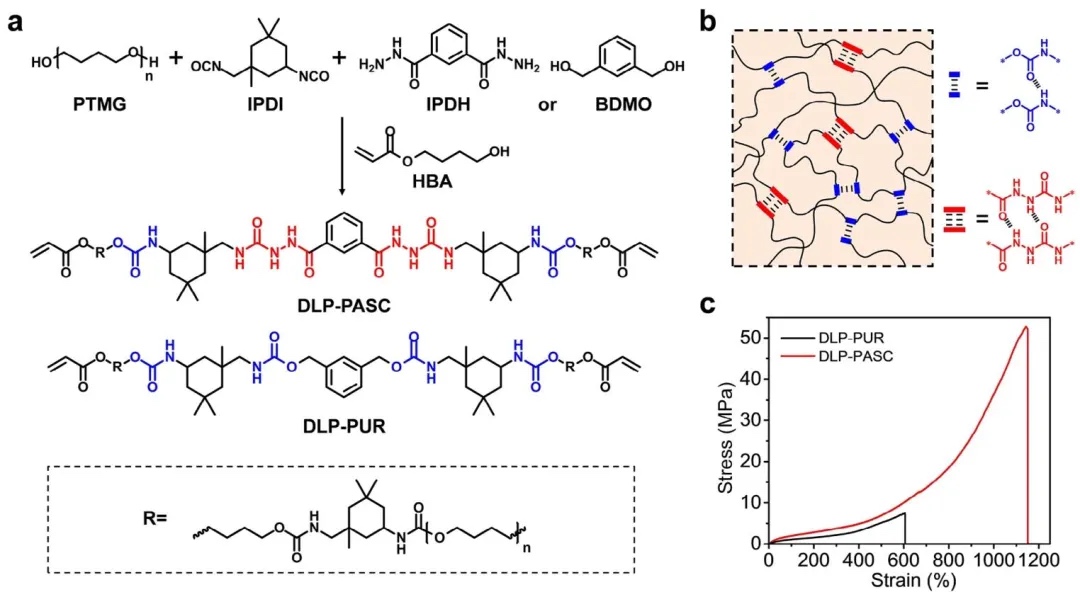 可3D打印的超韧弹性体：分级氢键网络的设计与动态功能调控