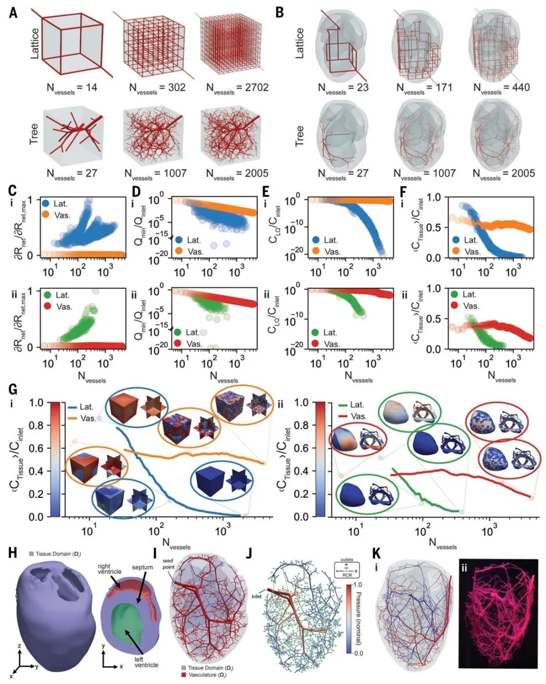 斯坦福大学团队研发出3D打印心脏血管网络快速成型技术
