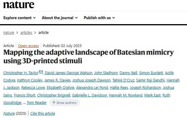 全彩3d打印昆虫模型揭示贝茨氏拟态进化图谱