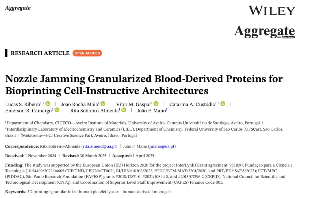 血源性蛋白质颗粒化生物墨水的3D打印新进展