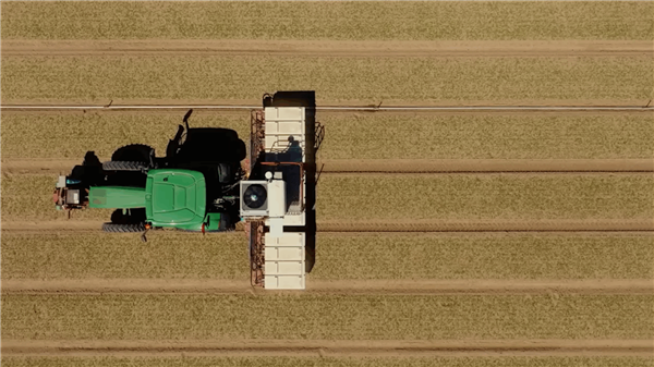 NVIDIA AI解决农业古老问题：搭配激光秒杀上万棵杂草无压力！