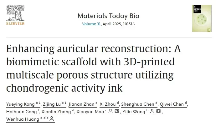 3D打印多尺度多孔仿生支架用于耳郭重建：软骨活性墨水的应用