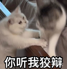 算力越高收入越多！OpenAI率先验证AI商业Scaling Law