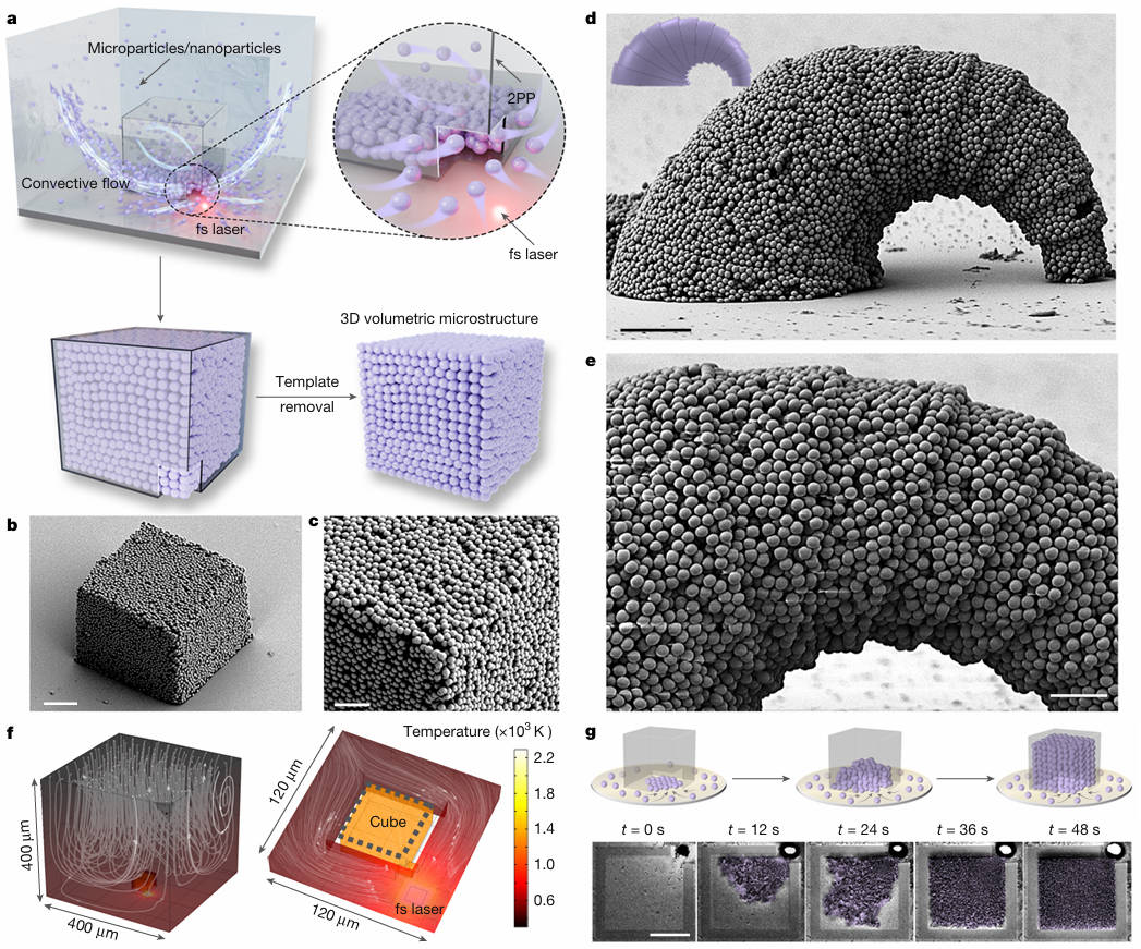 打破材料限制！马普所斩获2026年第二篇3D打印《Nature》，光流体技术重塑微纳加工