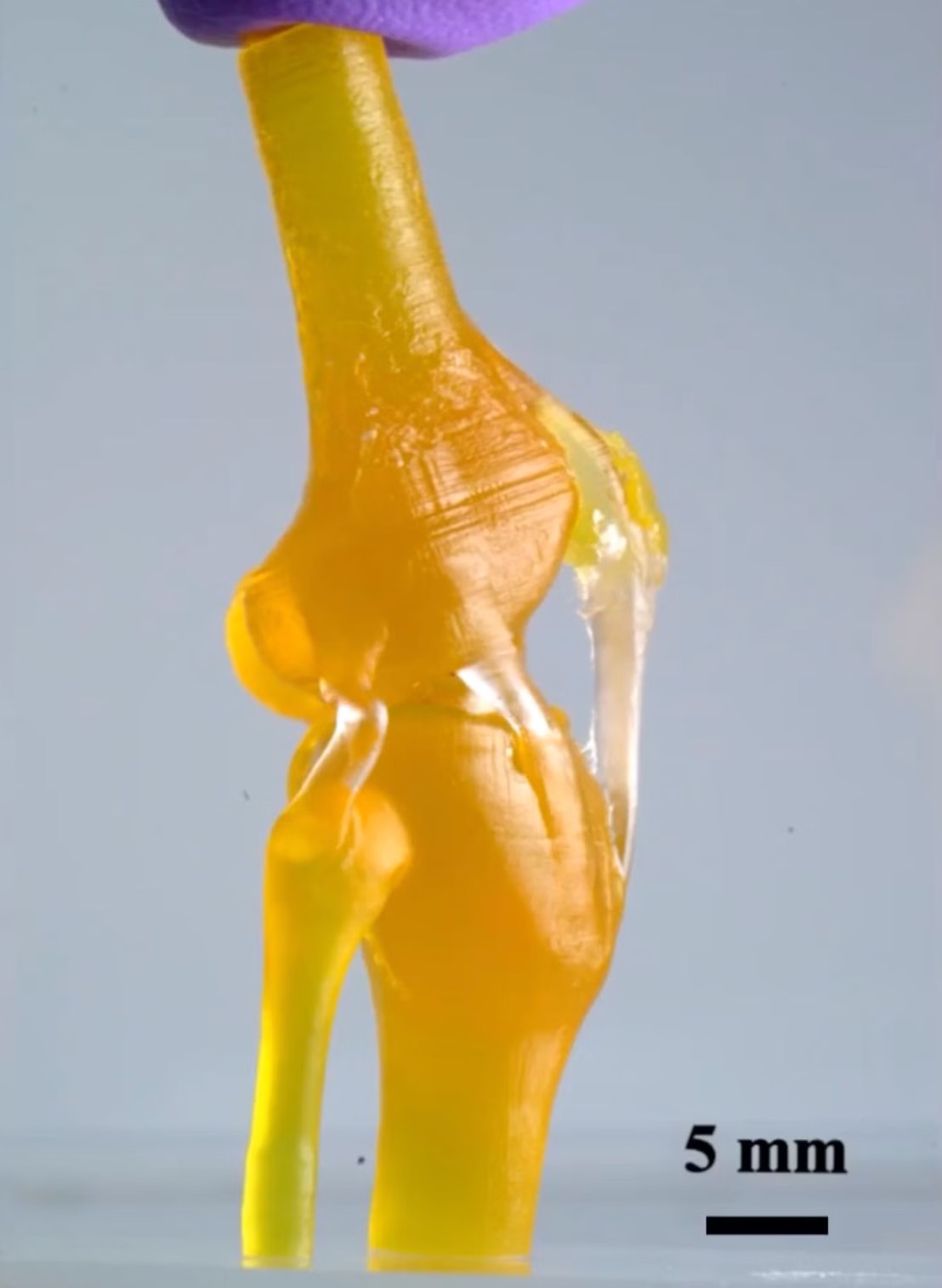 在更早的研究中，德克萨斯大学将刚性材料和柔性材料融合在一次打印中