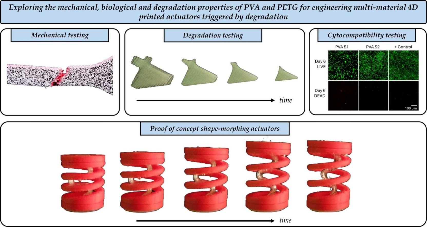 研究人员利用PETG和PVA开发出可降解的4D打印致动器，可遇水触发变形