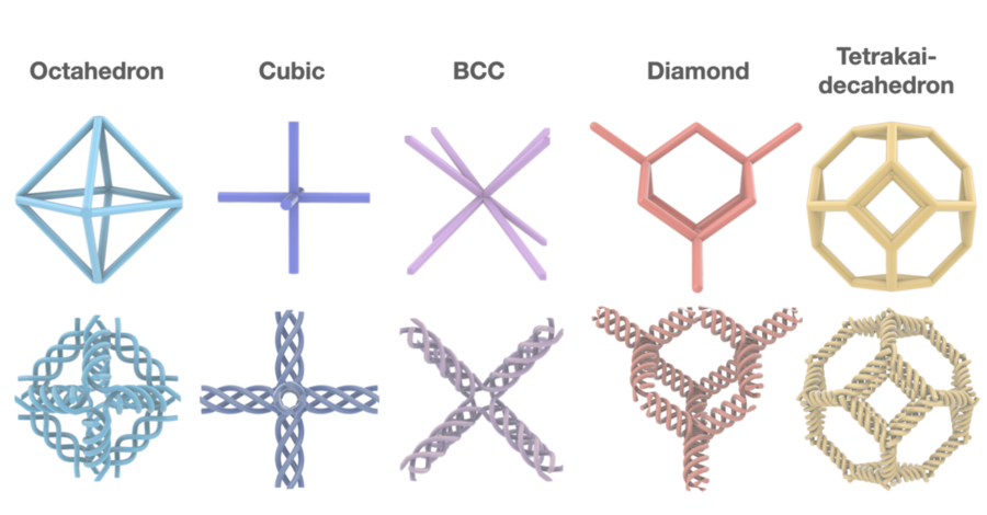 打印超材料的基本组成单元是编织单元，通过控制各种设计参数（例如构成编织支柱的纤维的半径和间距），可以实现功能梯度变化