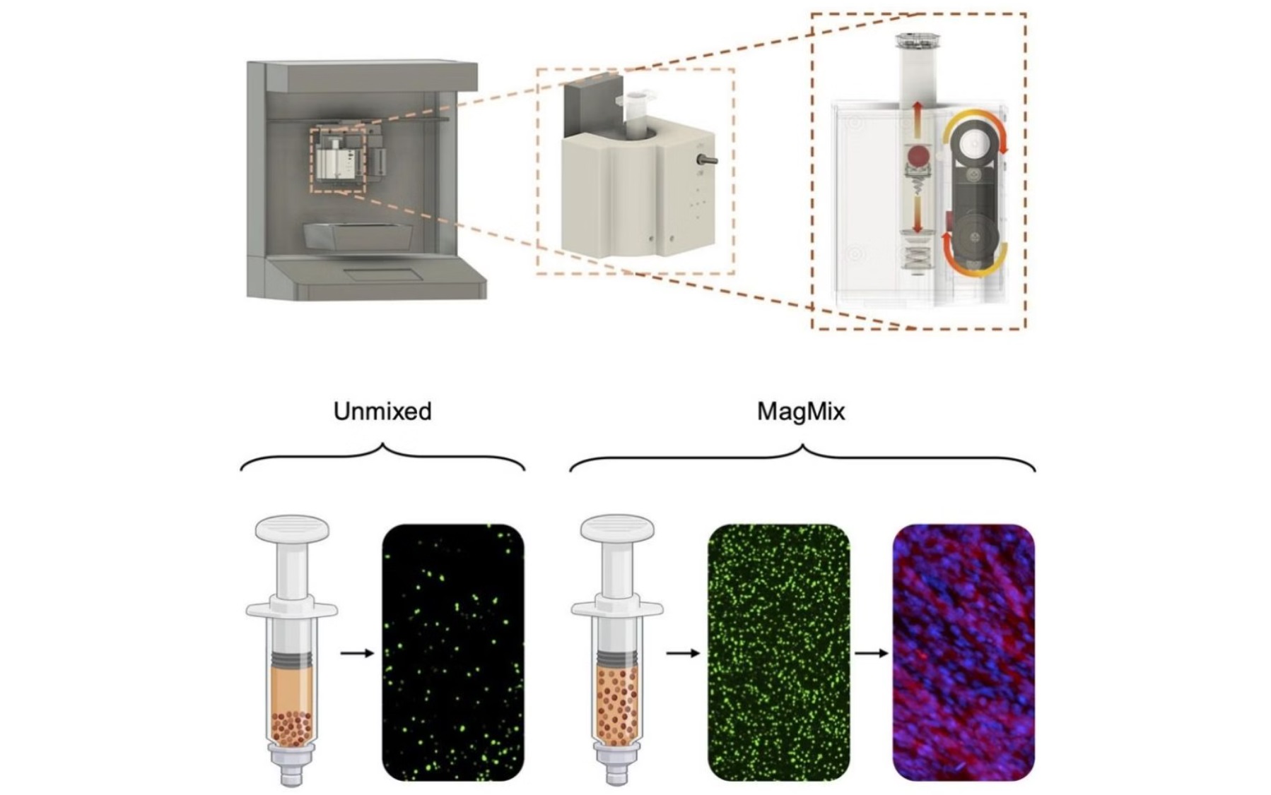 麻省理工学院研究人员进一步揭示磁驱动生物3D打印混合器的奥秘