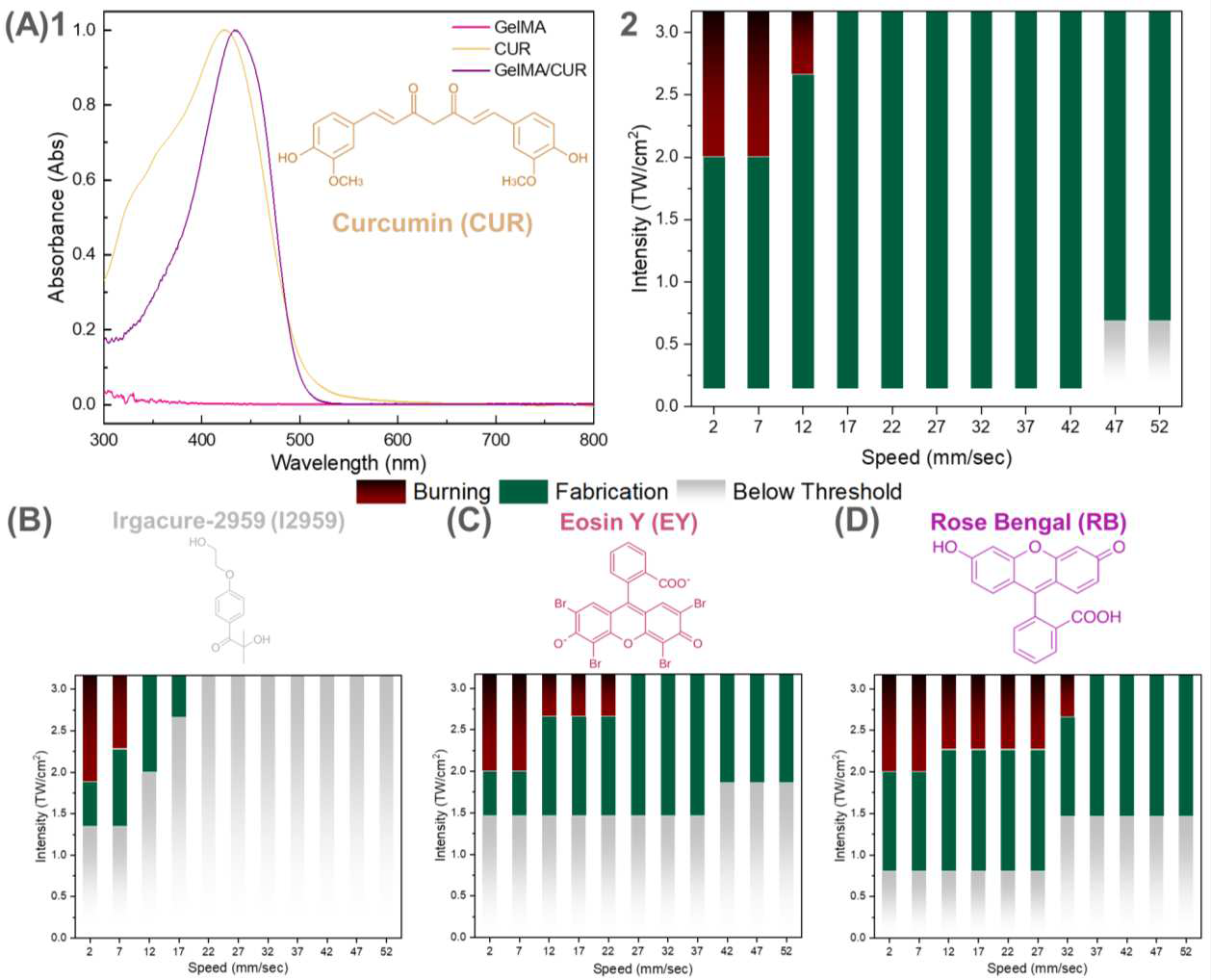 研究人员开发出基于姜黄素的光引发剂，可用于多功能3D打印GelMA支架