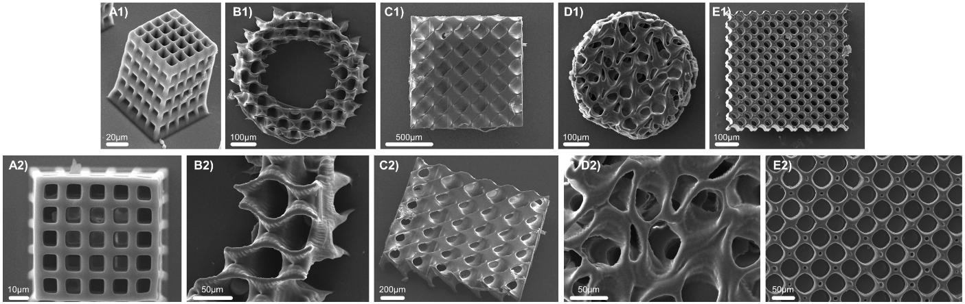 扫描电子显微镜图像显示了 3D 打印的 GelMA/姜黄素晶格结构,包括具有互连孔隙的三重周期最小表面 (TPMS) 几何结构 扫描电子显微镜图像显示了 3D 打印的 GelMA/姜黄素晶格结构,包括具有互连孔隙的三重周期最小表面 (TPMS) 几何结构