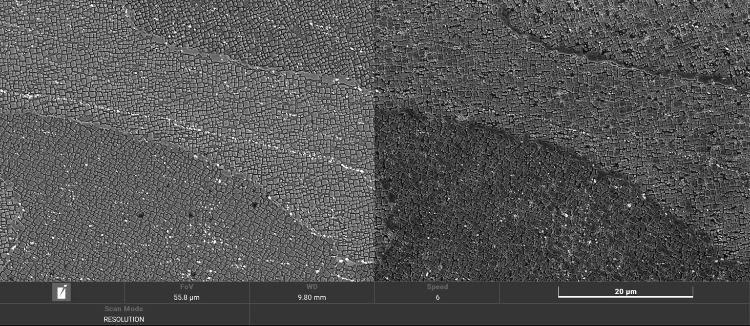 镍基高温合金ABD-1000AM的微观结构。照片通过Alloyd有限公司