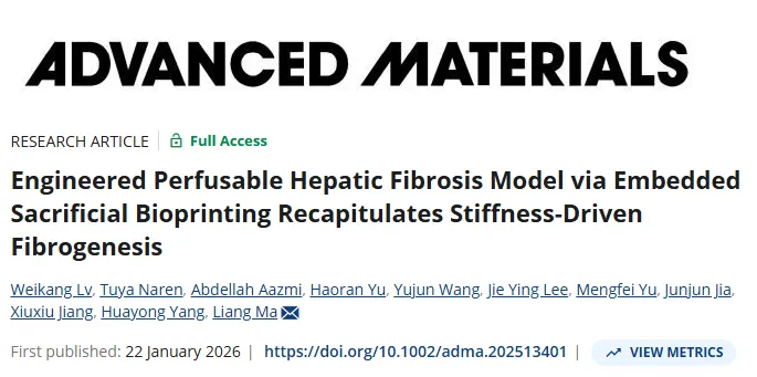 浙大《Advanced Materials》：3D打印构建可灌注肝纤维化模型复现刚度驱动的纤维化发生