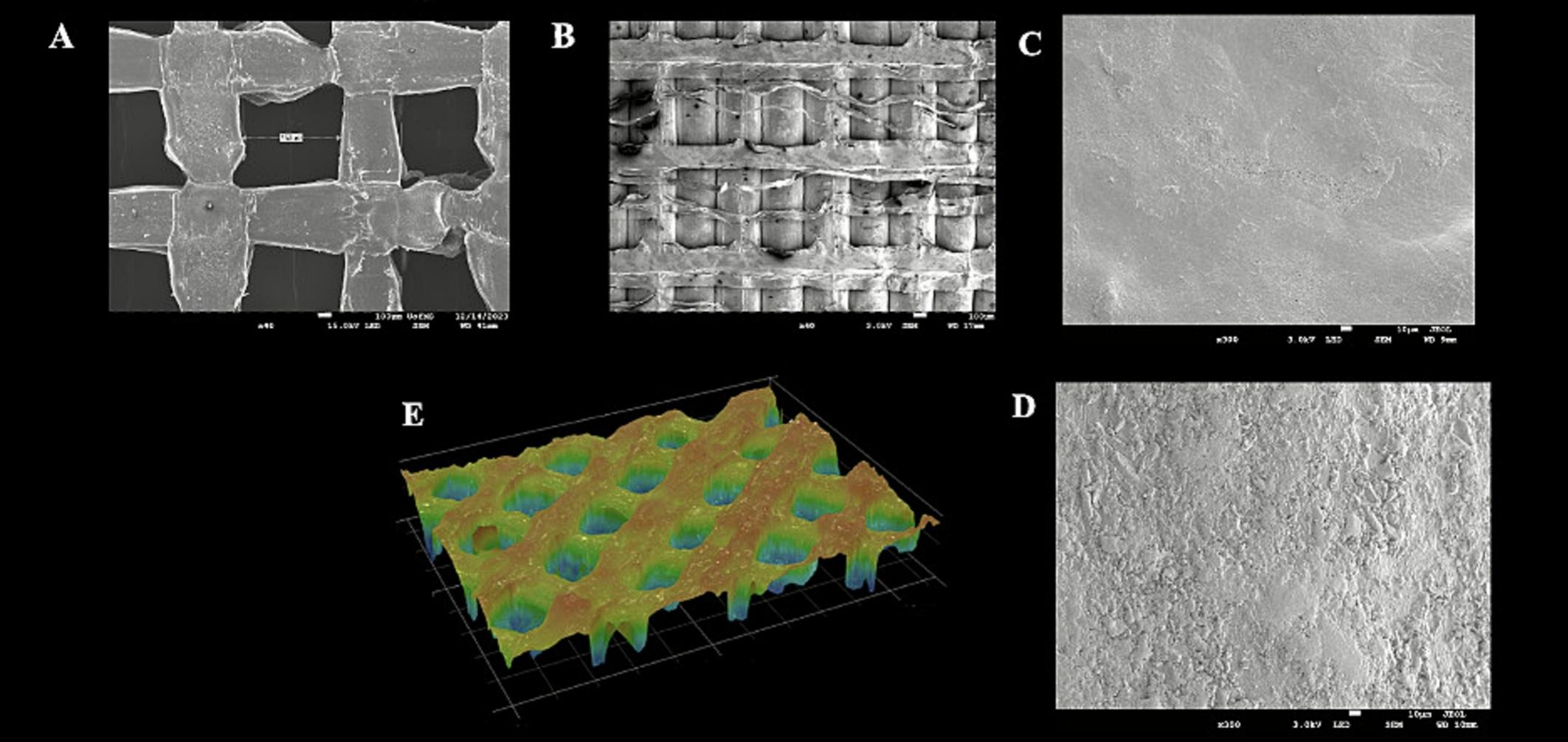 3D打印支架和丝材的表面形态和3D形貌