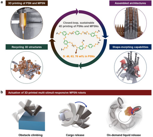 KRICT研究人员开发出4D打印聚合物，重新定义软体机器人