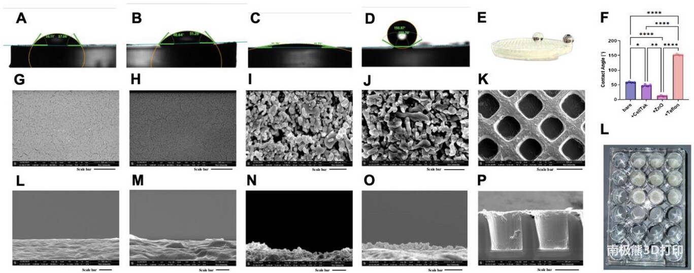 莱斯大学利用3D打印技术模拟转移性癌细胞团簇，为研究癌症扩散提供成本更低的方法