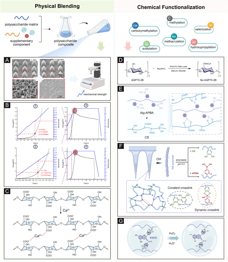 多糖基微针的修饰策略，包括物理共混、纳米颗粒整合和化学功能化，以增强机械强度和药物递送性能