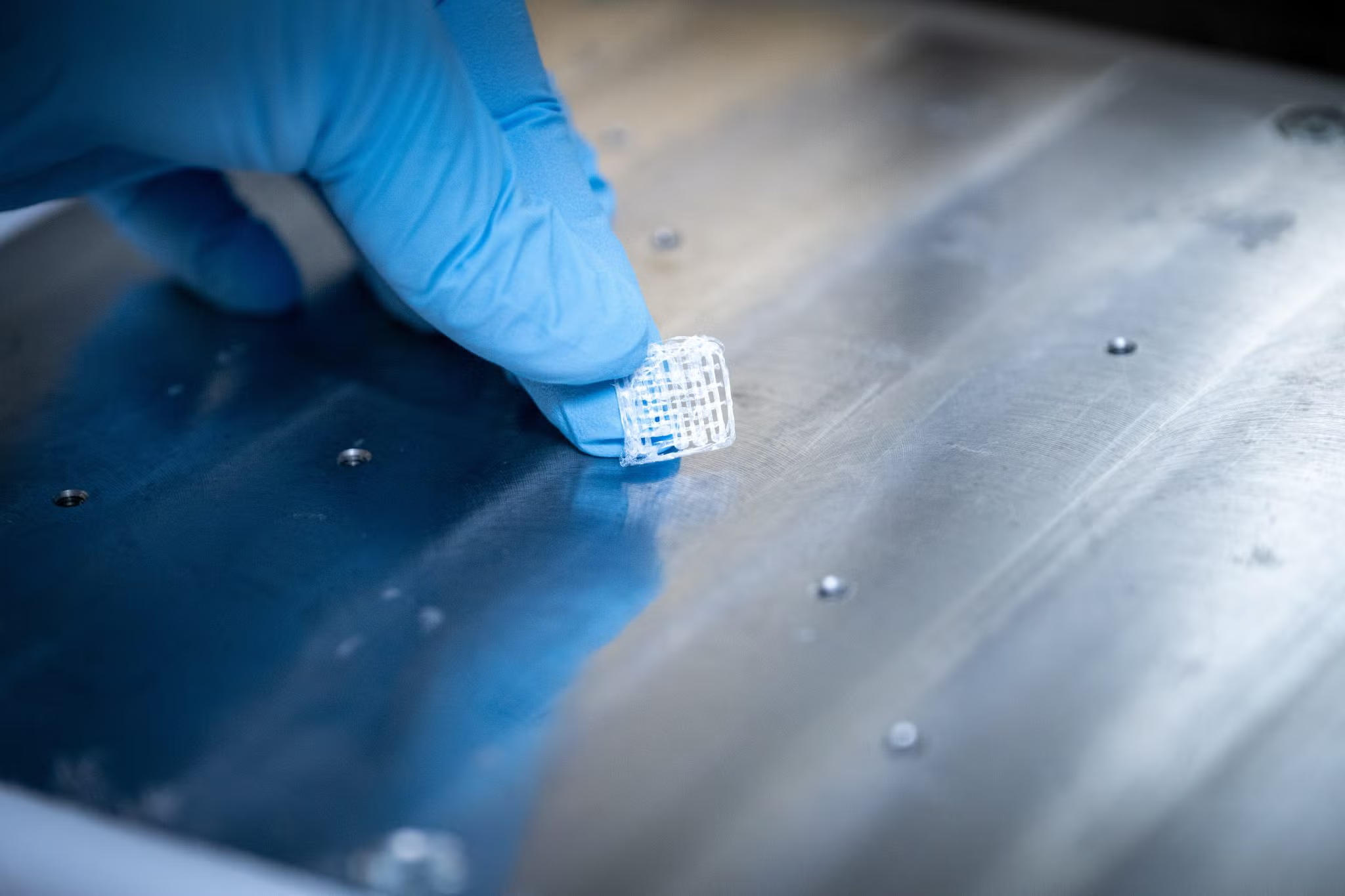 Alimperti的果胶基骨移植结构示意 Alimperti的果胶基骨移植结构示意