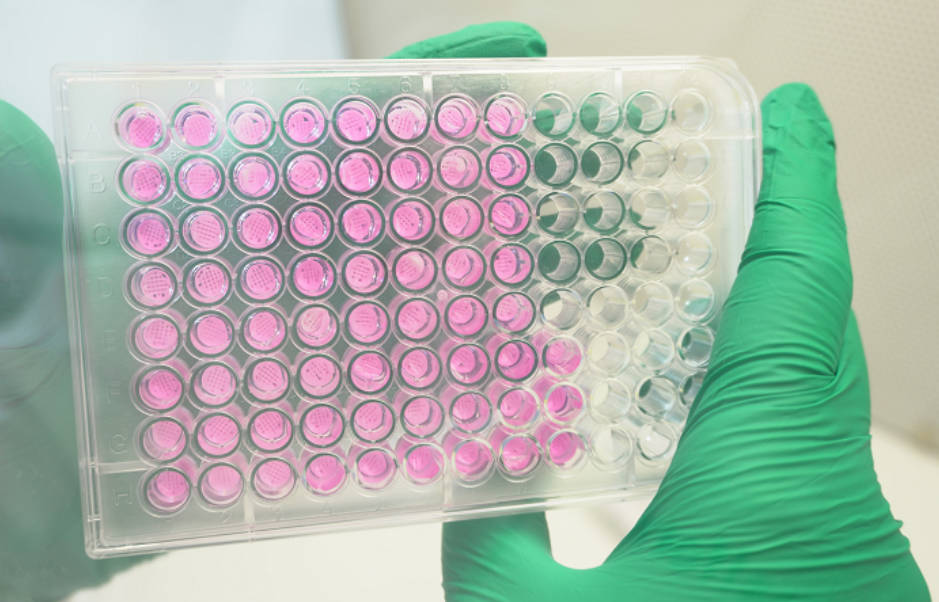 采用Ossiform技术3D打印的β-磷酸三钙生物陶瓷P3D支架 采用Ossiform技术3D打印的β-磷酸三钙生物陶瓷P3D支架
