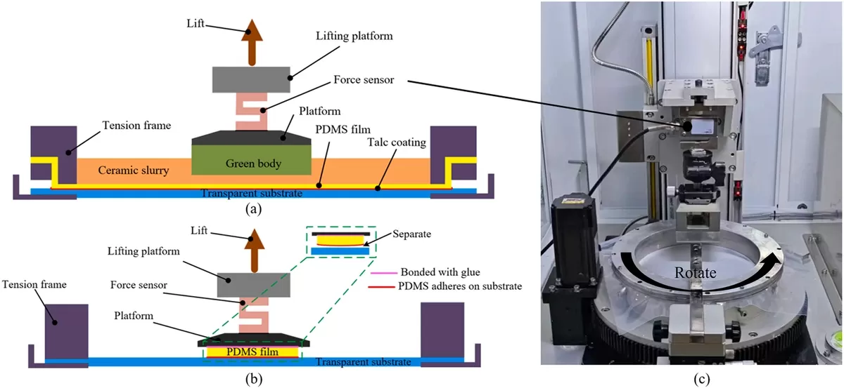 滑石粉涂层-PDMS膜改性方法及其柔性陶瓷光固化体系与成型工艺
