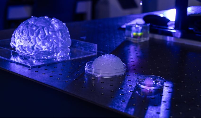 密苏里大学3D打印出人工大脑模型