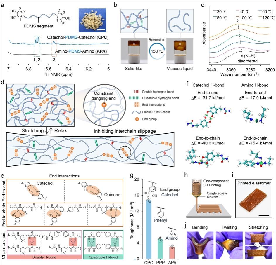 3D打印弹性体的分子结构设计与基本性能 3D打印弹性体的分子结构设计与基本性能