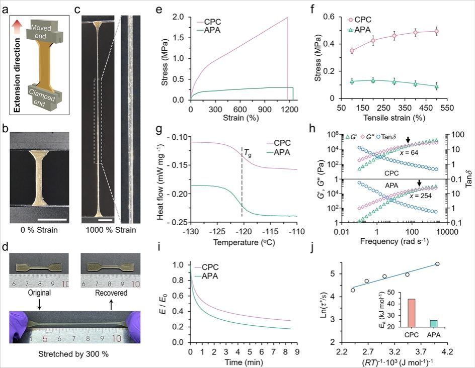 弹性体的力学性能 弹性体的力学性能