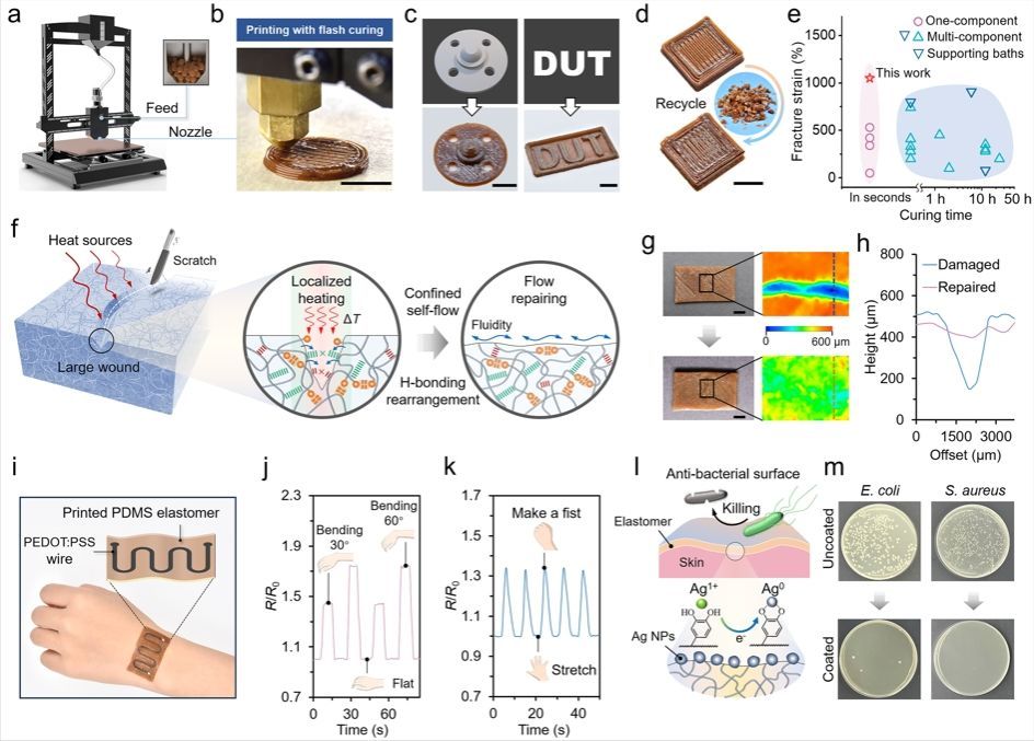 多功能3D打印弹性体 多功能3D打印弹性体